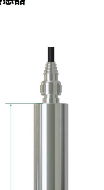 溶解氧传感器（高温型）